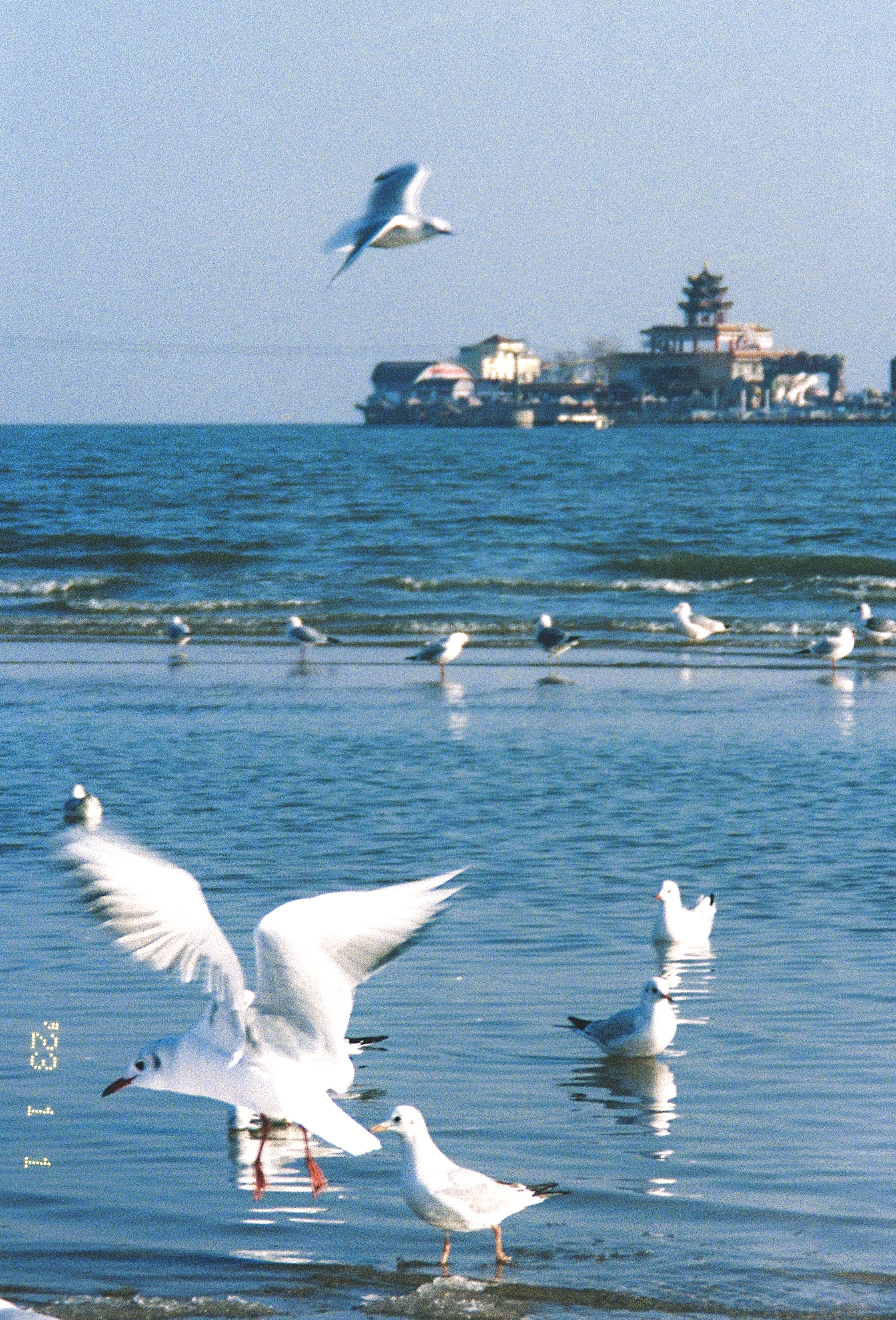 秦皇岛 (Qinhuangdao)