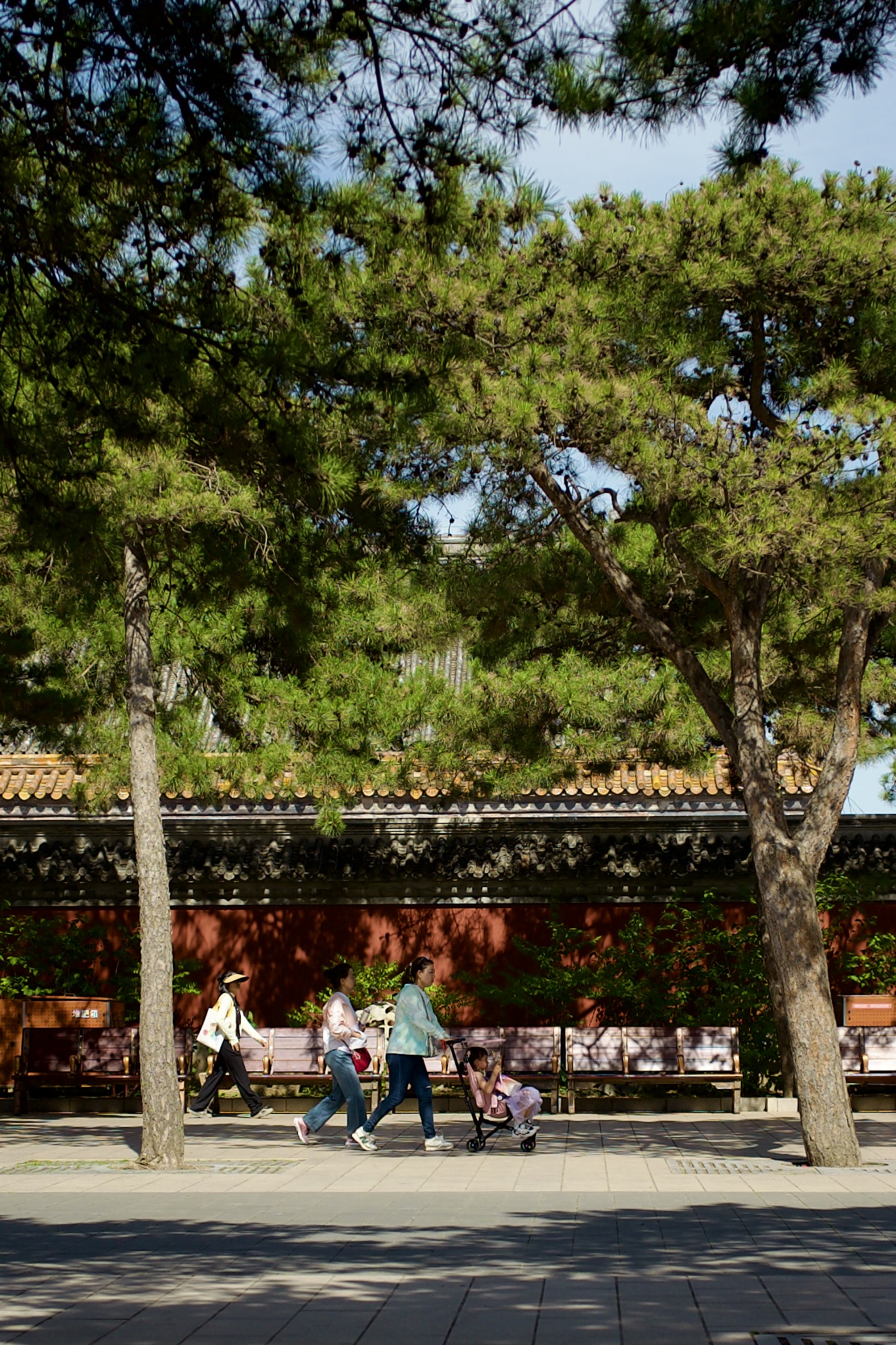 The Forbidden City