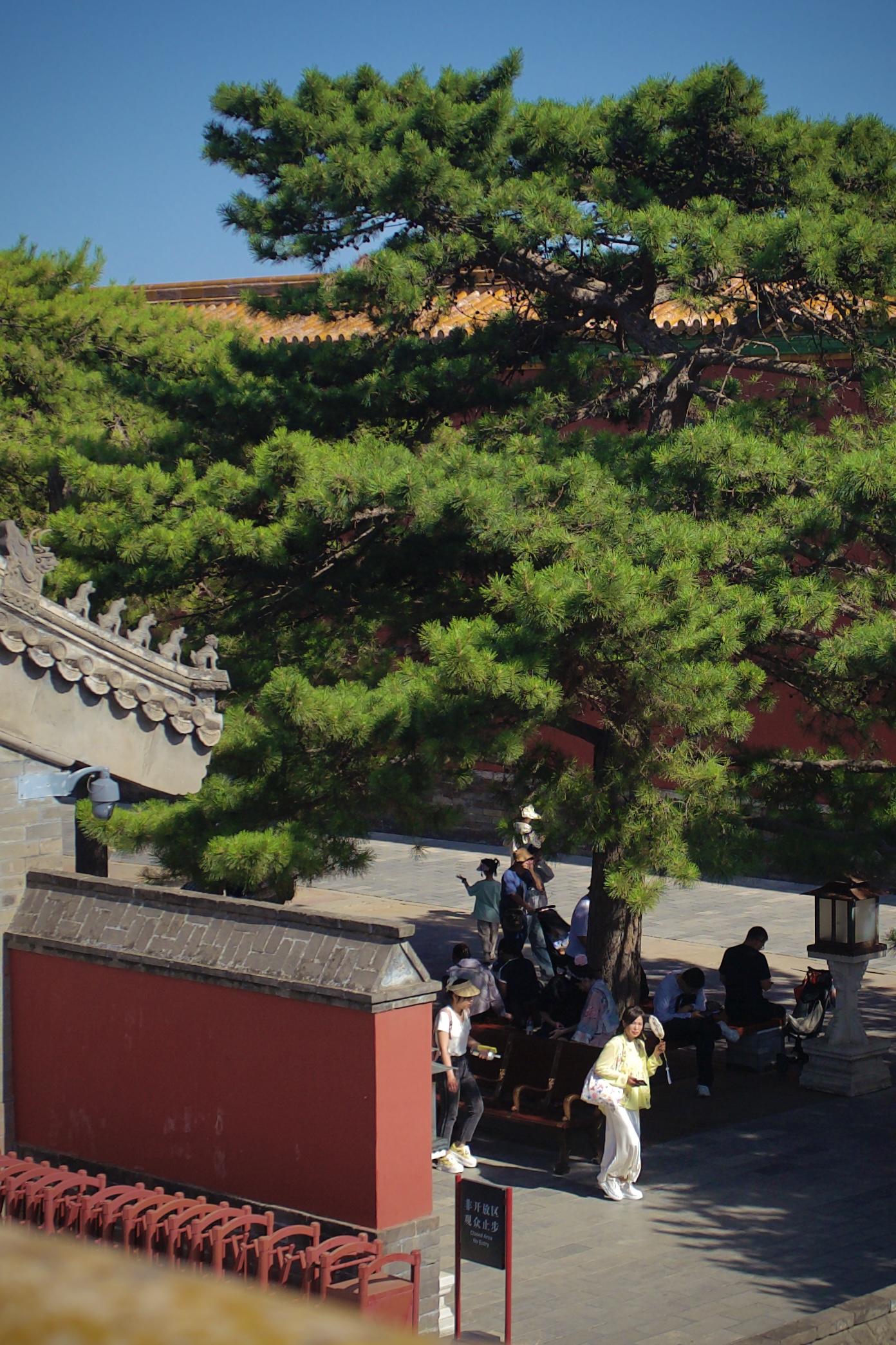 The Forbidden City